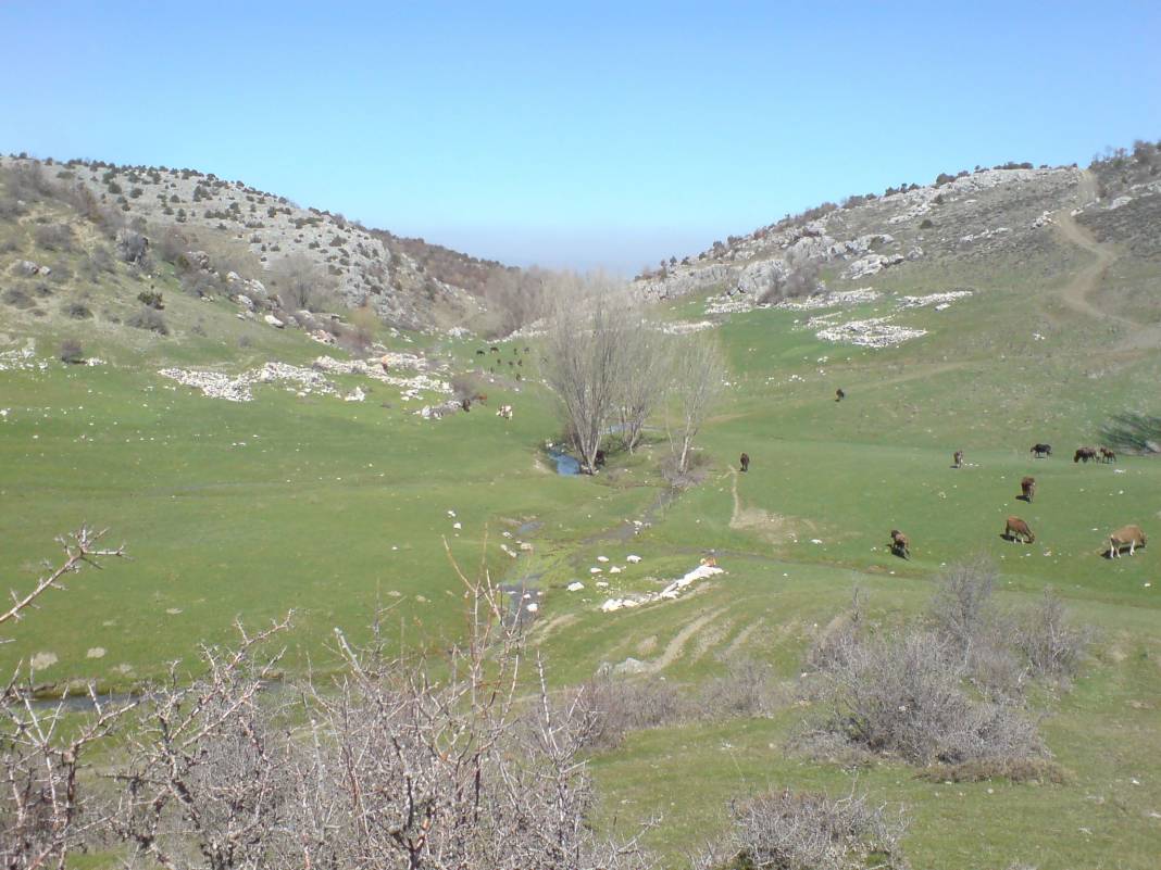 Kadışehri Hanözü Köyü Resimleri 3