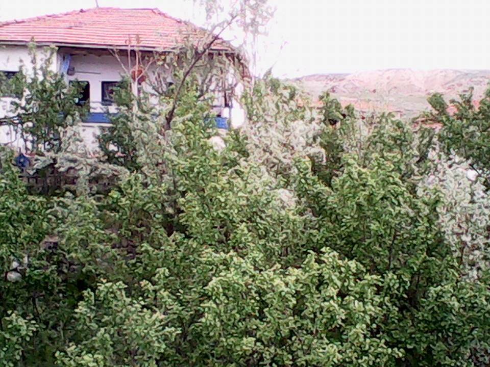 Kadışehri Kıyılı Köyü Resimleri 1