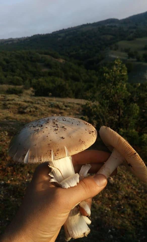 Kadışehri Kıyılı Köyü Resimleri 3