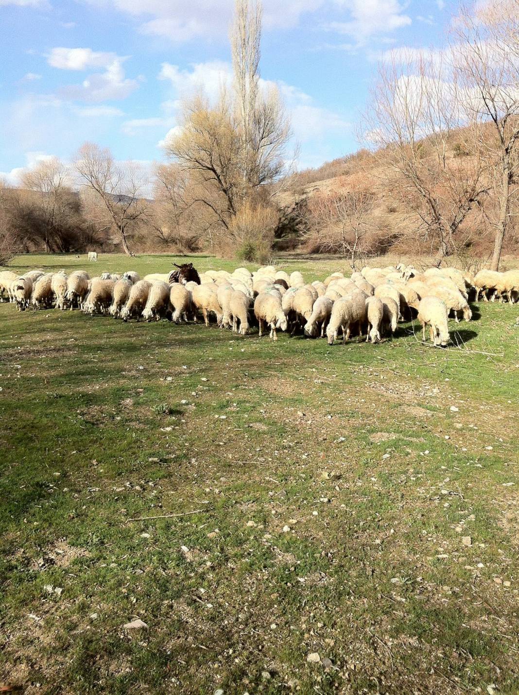 Kadışehri Örencik Köyü Resimleri 1