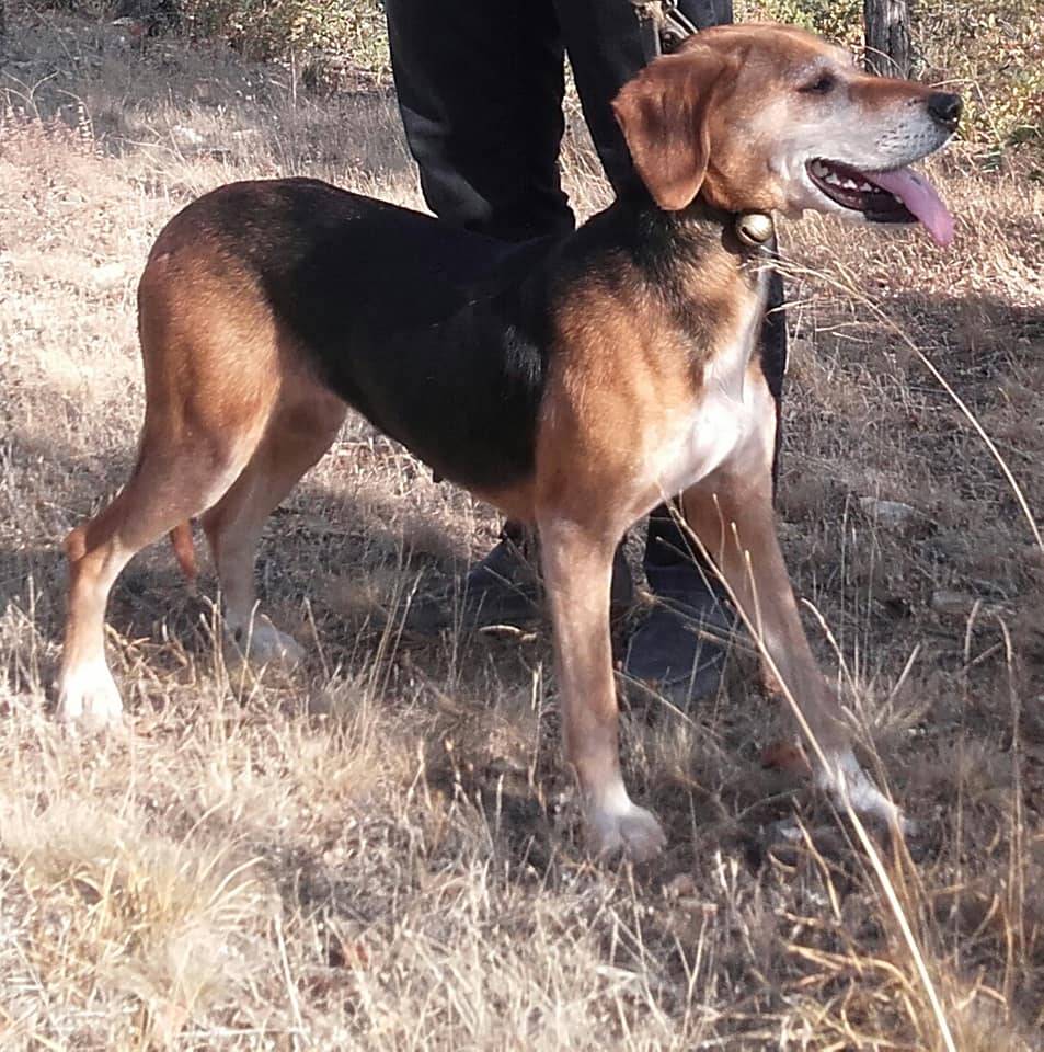 Kadışehri Vasfibey Köyü Resimleri 2