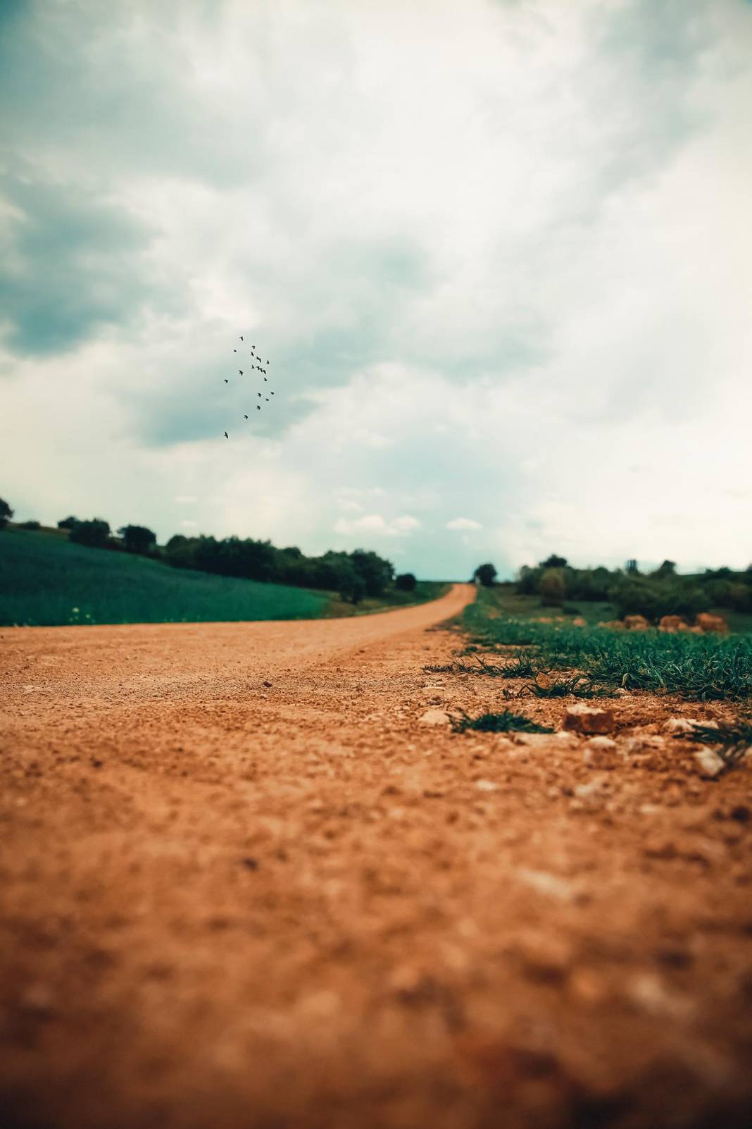 Saraykent Karapınar Köyü Resimleri 2