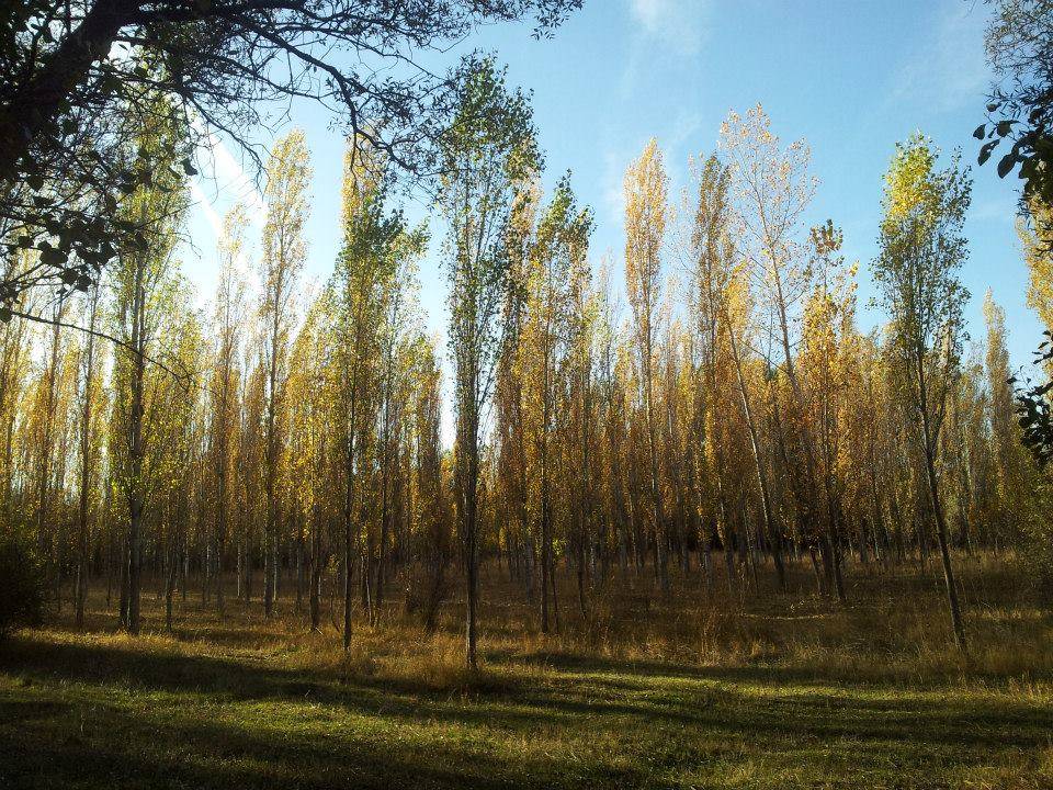 Sarıkaya Akbucak Köyü Resimleri 1