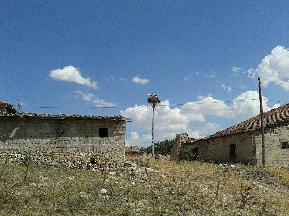 Sarıkaya Alifakılı Köyü Resimleri 2