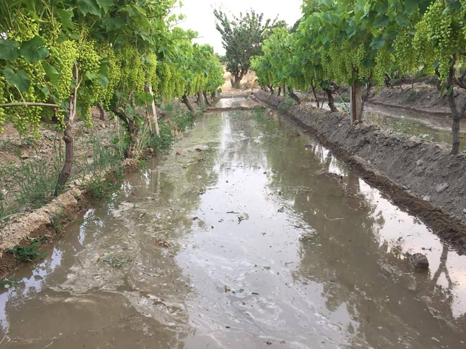 Alaşehir Gülpınar Köyü Resimleri 2