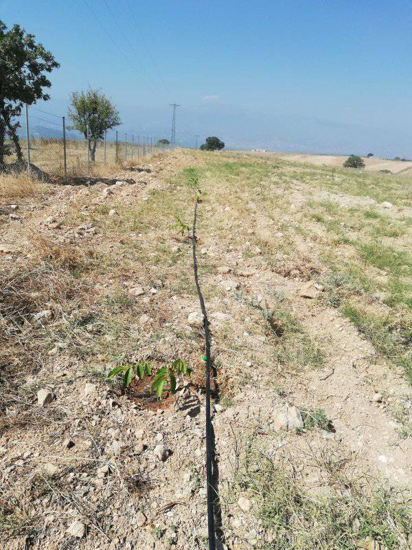Alaşehir Gülpınar Köyü Resimleri 4