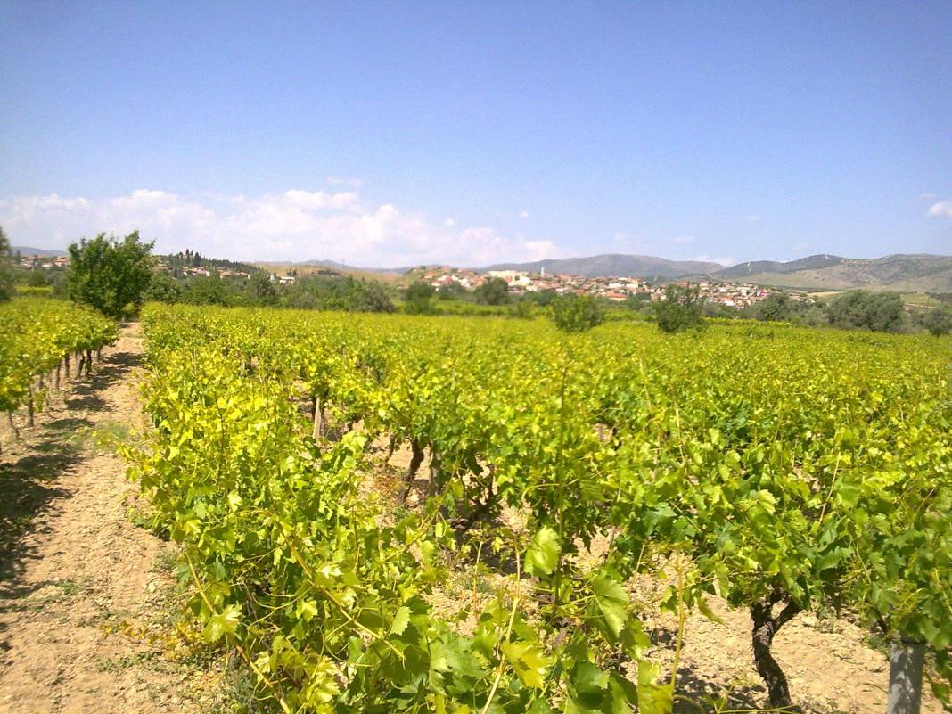 Alaşehir Kemaliye Köyü Resimleri 2