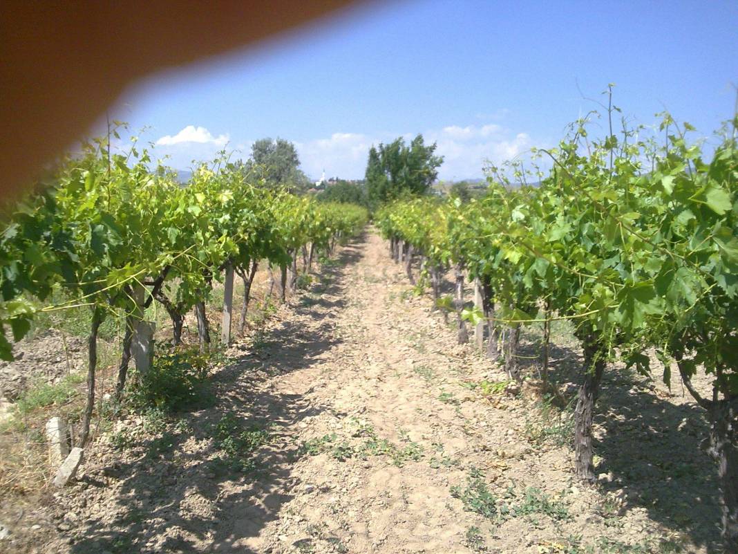 Alaşehir Kemaliye Köyü Resimleri 3