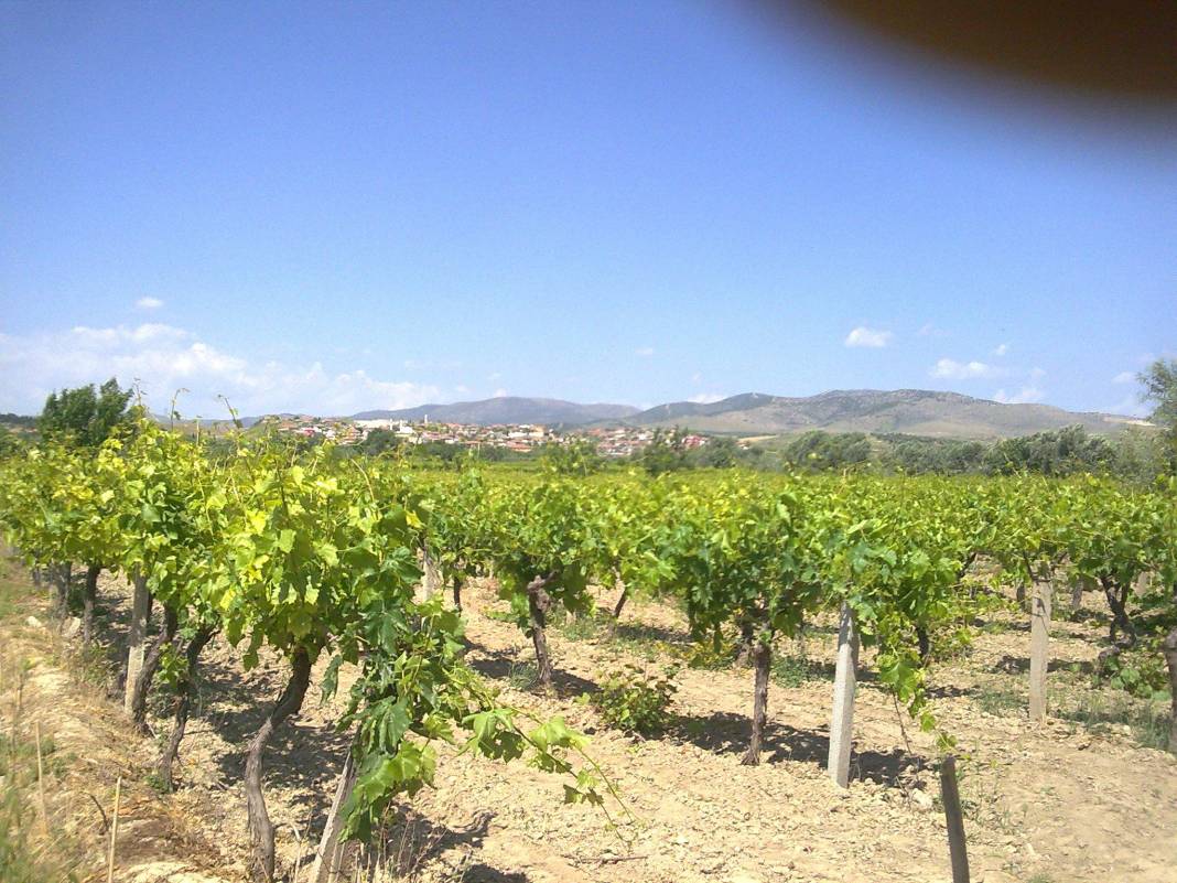 Alaşehir Kemaliye Köyü Resimleri 4