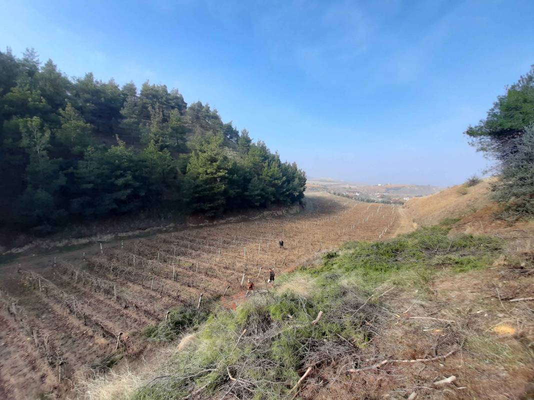 Alaşehir Sakarya Köyü Resimleri 2