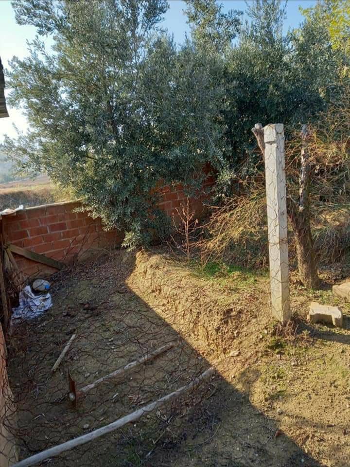 Alaşehir Soğuksu Köyü Resimleri 4