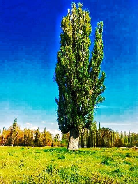 Sarıkaya Emirbey Köyü Resimleri 4