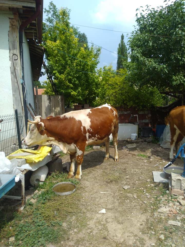 Sarıkaya Hasbek Köyü Resimleri 3