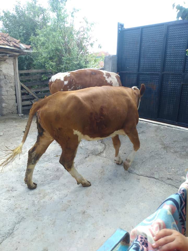 Sarıkaya Hasbek Köyü Resimleri 4