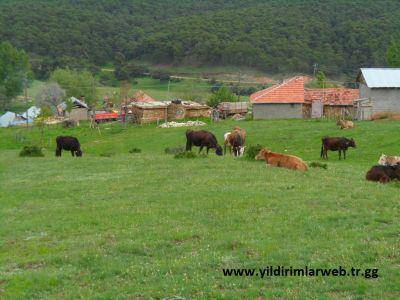 Sarıkaya Hisarbey Köyü Resimleri 1