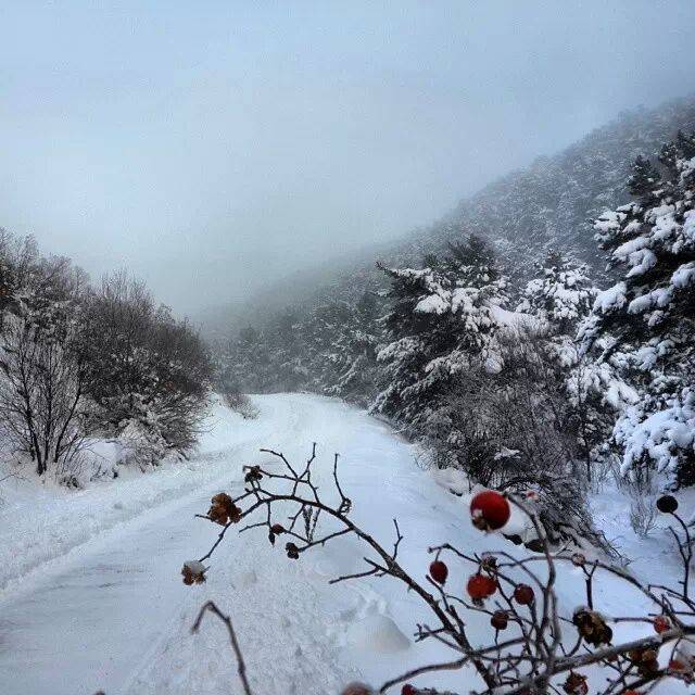 Sarıkaya Hisarbey Köyü Resimleri 3