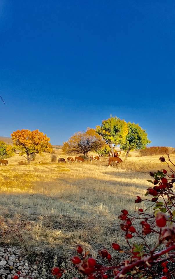 Sarıkaya Hisarbey Köyü Resimleri 9