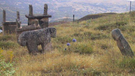 Iğdır Ağaver Köyü Resimleri 1