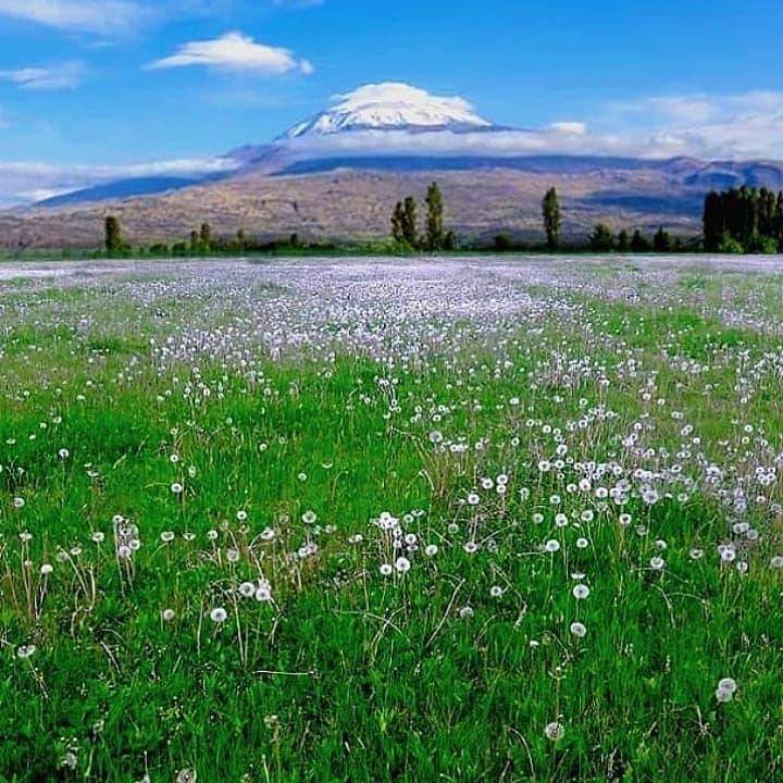 Iğdır Ağaver Köyü Resimleri 3
