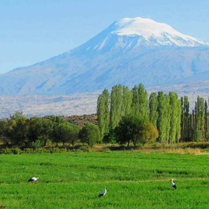 Iğdır Ağaver Köyü Resimleri 4