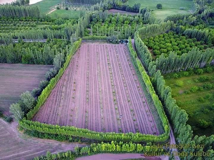 Iğdır Ağaver Köyü Resimleri 7