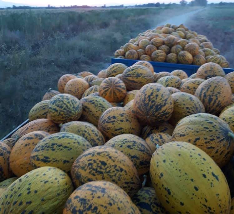 Iğdır Akyumak Köyü Resimleri 4
