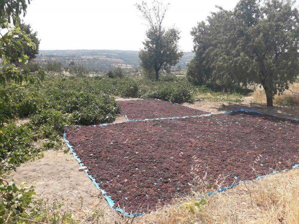 Gülnar Akdeniz Köyü Resimleri 5