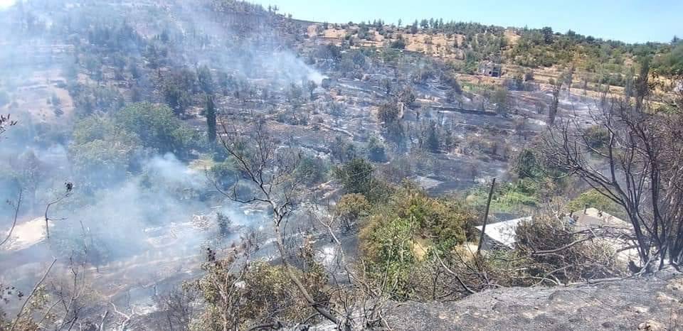 Gülnar Akdeniz Köyü Resimleri 6