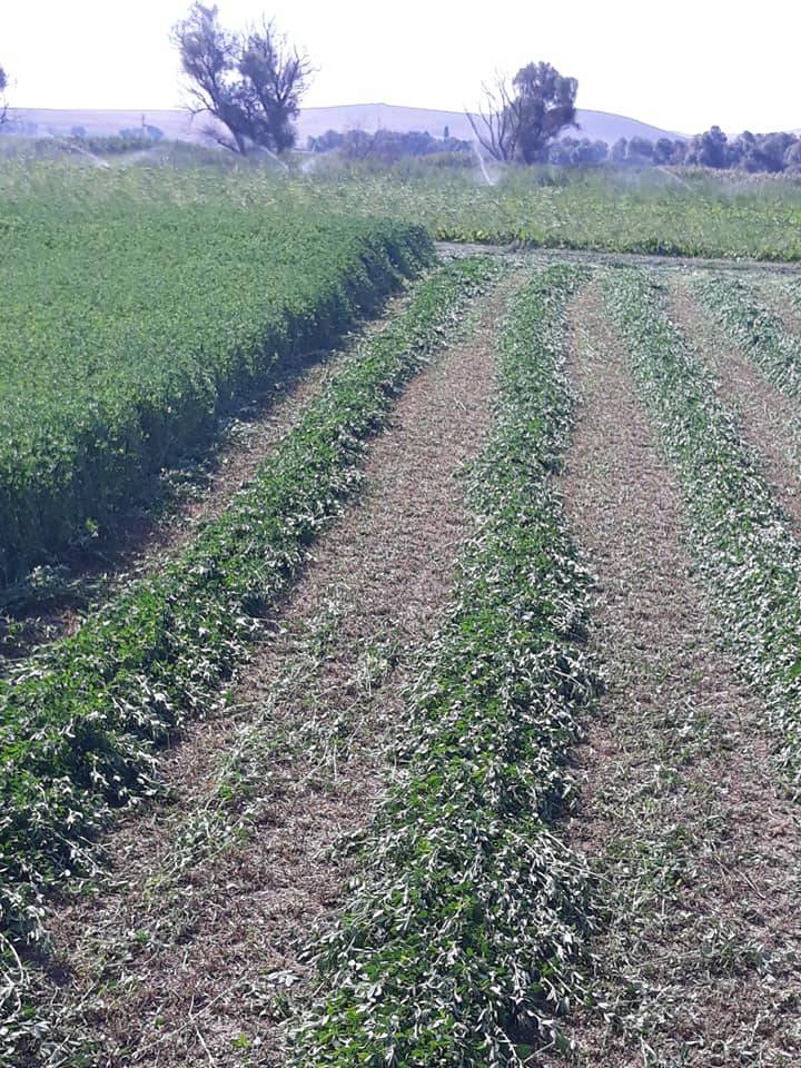 Sarıkaya Kadılı Köyü Resimleri 7