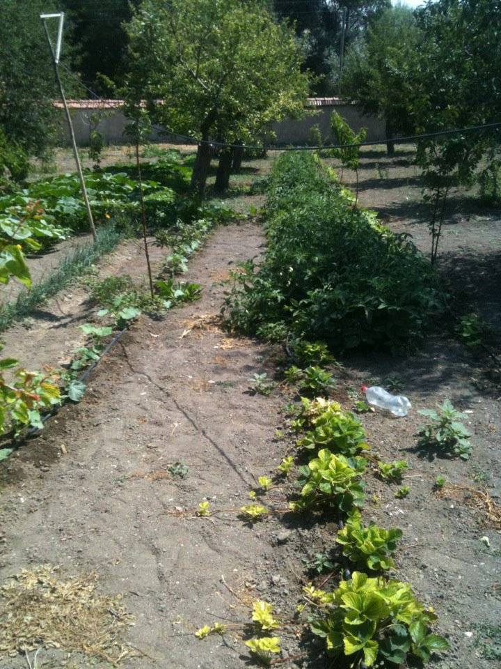 Sarıkaya Karabacak Köyü Resimleri 1