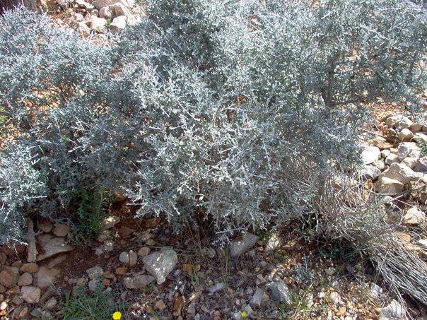 Gülnar Akova Köyü Resimleri 3