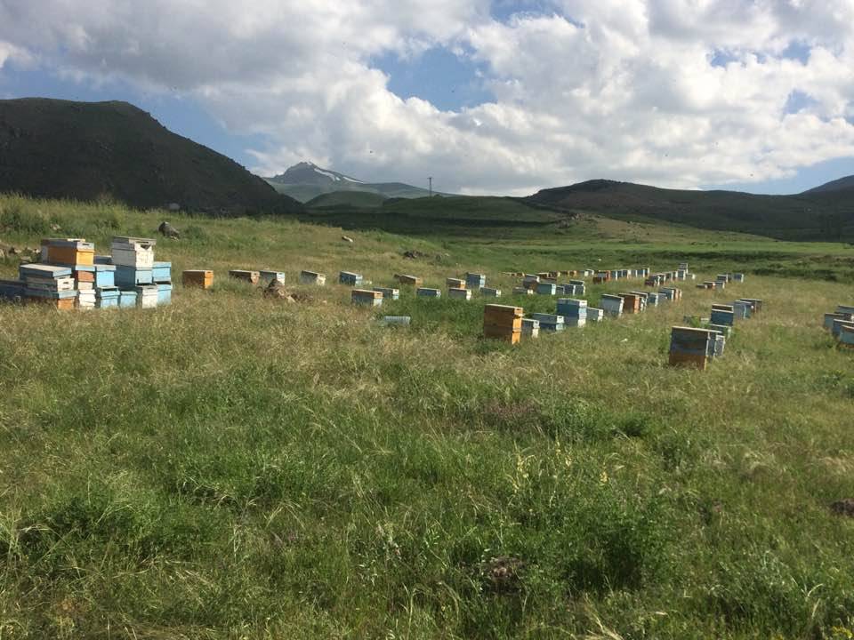 Iğdır Alibeyköy Köyü Resimleri 3