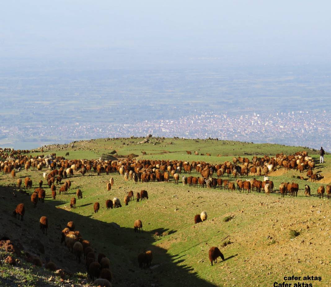 Iğdır Alibeyköy Köyü Resimleri 6