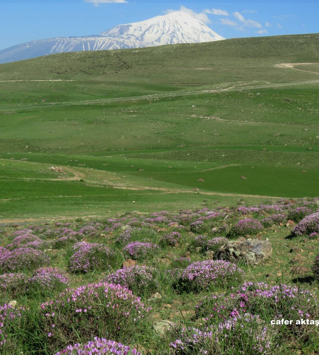 Iğdır Alibeyköy Köyü Resimleri 7