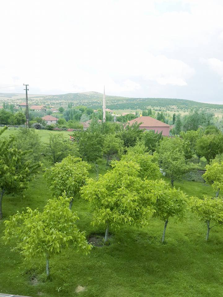 Sarıkaya Kargalık Köyü Resimleri 10