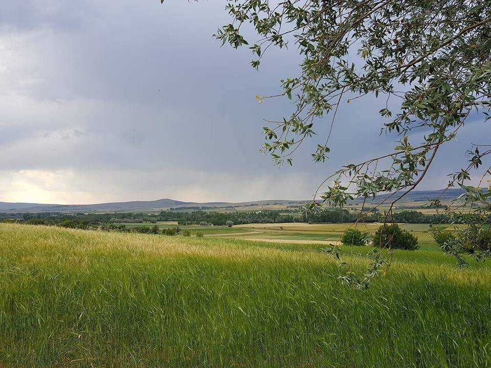 Sarıkaya Koçak Köyü Resimleri 4