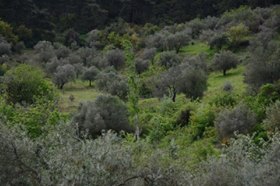 Ahmetli Alahıdır Köyü Resimleri 2