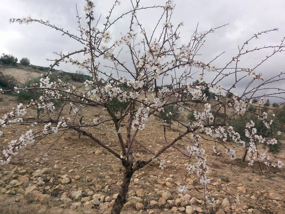 Gülnar Arıkuyusu Köyü Resimleri 5