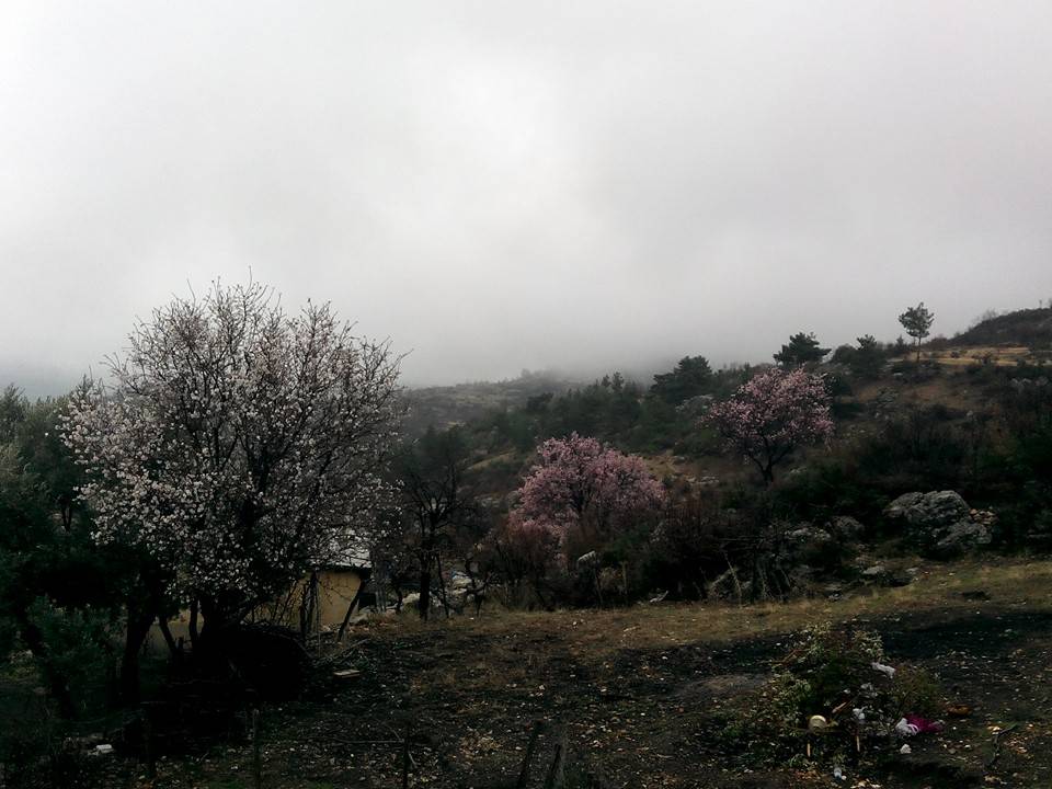 Gülnar Arıkuyusu Köyü Resimleri 8
