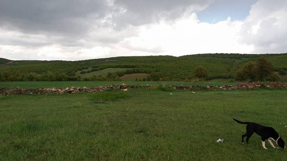 Sarıkaya Topaktaş Köyü Resimleri 4