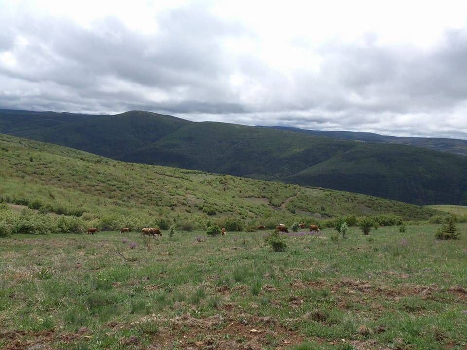 Sarıkaya Topaktaş Köyü Resimleri 7