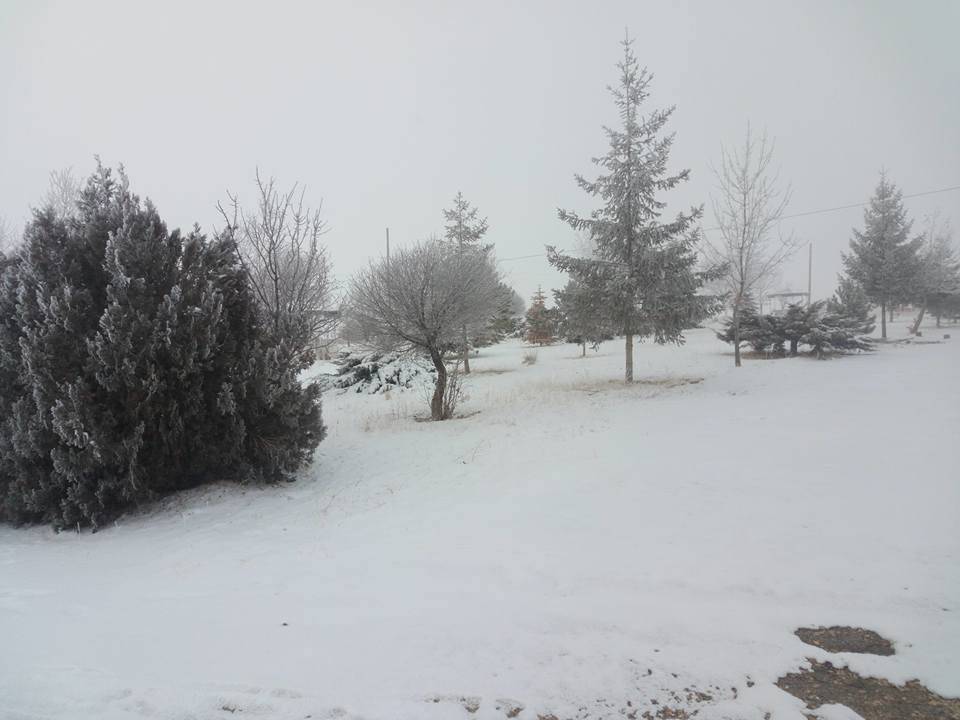 Sarıkaya Yukarısarıkaya Köyü Resimleri 6