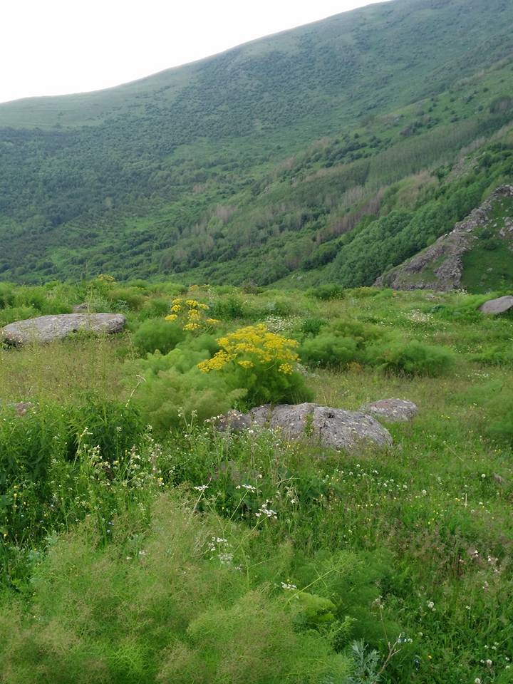 Ardahan Ardıçdere Köyü Resimleri 8