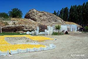 Sorgun Alişar Köyü Resimleri 1