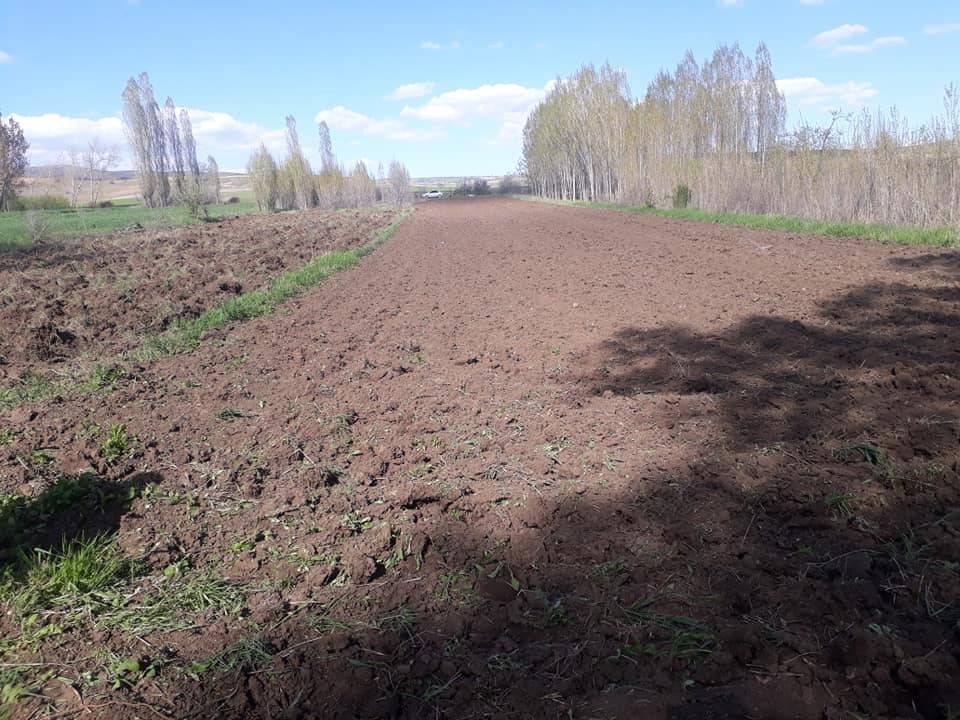 Sorgun Aşağıcumafakılı Köyü Resimleri 3
