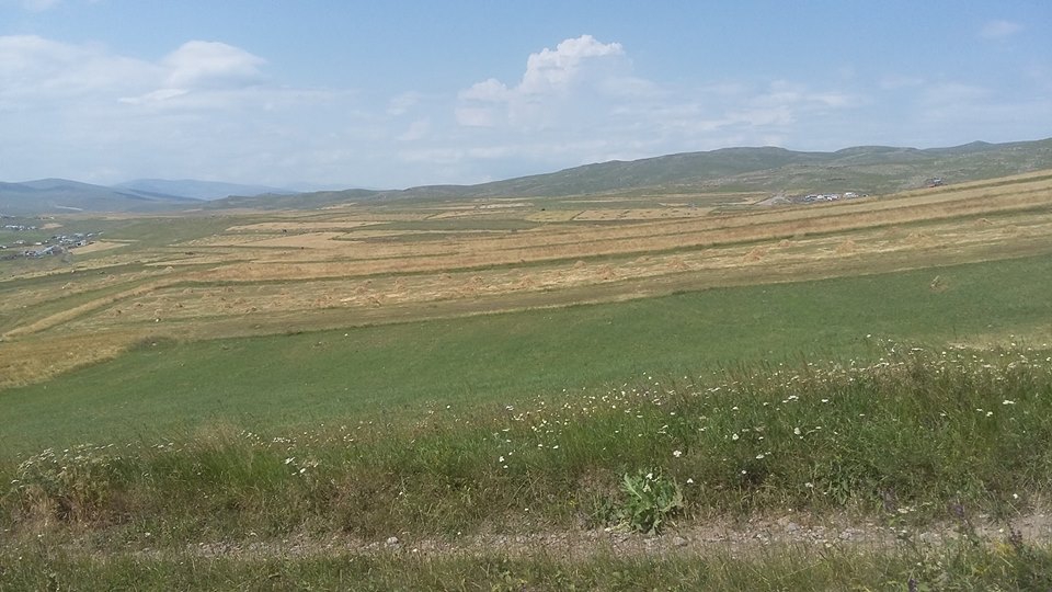 Ardahan Aşağıkurtoğlu Köyü Resimleri 6
