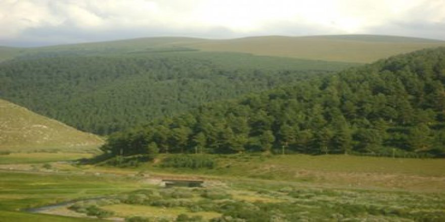 Ardahan Aşağıkurtoğlu Köyü Resimleri