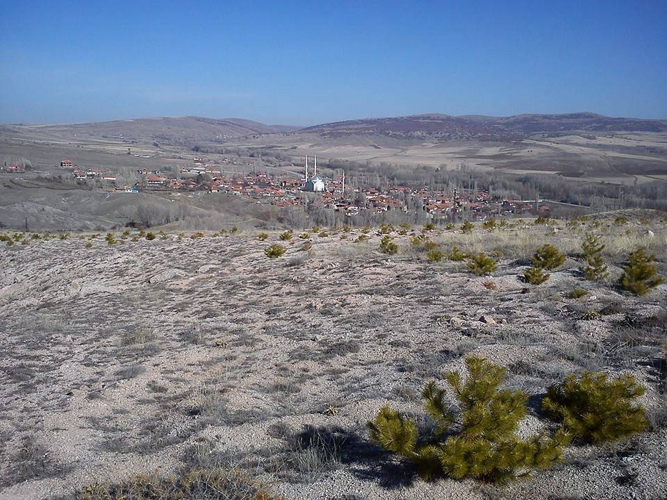 Sorgun Boğazcumafakılı Köyü Resimleri 3