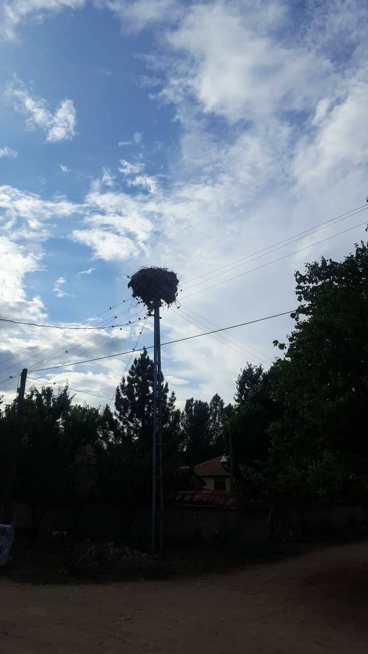 Sorgun Büyükören Köyü Resimleri 10