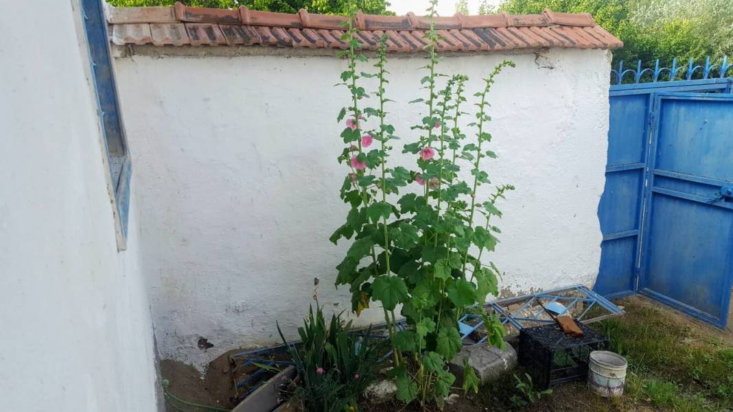 Sorgun Büyükören Köyü Resimleri 7